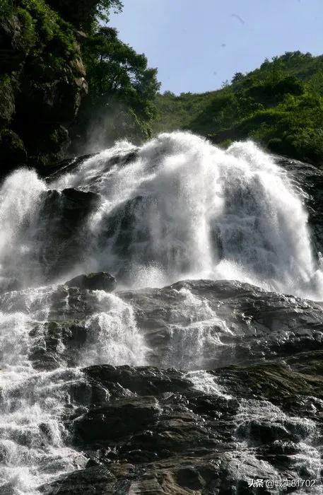 淘气兔救援
